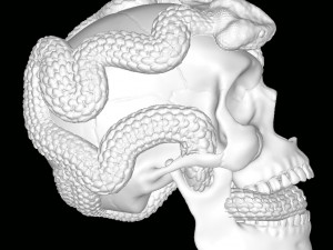 Skull with Snakes Model do druku 3D