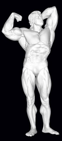 Arnold schwarzenegger 3D 打印模型 .c4d .max .obj .3ds .fbx .stl .blend