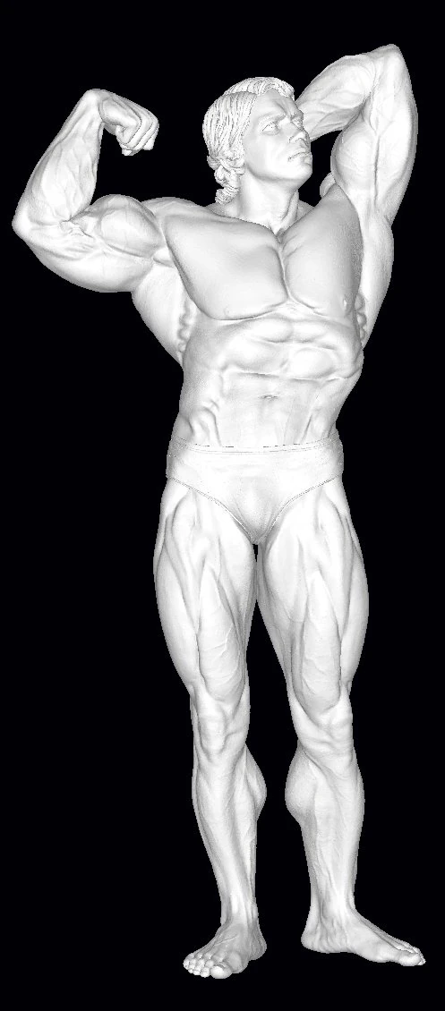 Arnold schwarzenegger 3D Print Model .c4d .max .obj .3ds .fbx .stl .blend 