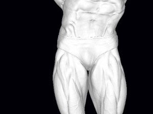 Arnold schwarzenegger 3Dプリントモデル