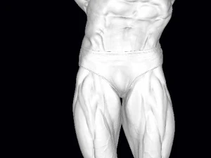Arnold schwarzenegger 3D Print Model