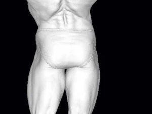 Arnold schwarzenegger 3D Print Model