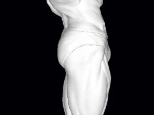 Arnold schwarzenegger 3D Print Model