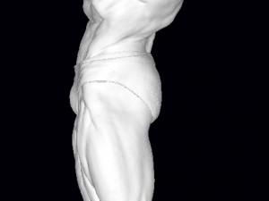 Arnold schwarzenegger 3D 打印模型