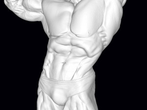 Arnold schwarzenegger 3D 打印模型