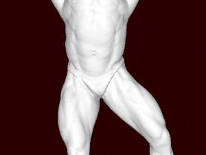 Bodybuilder Modelo de impresión 3D