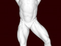 Bodybuilder 3D Print Model