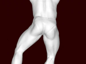 Culturista Modello di stampa 3D