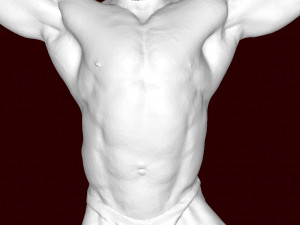 Bodybuilder 3D Принт Модель