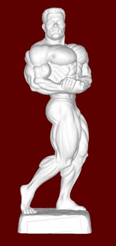 Bodybuilder 3D 打印模型 .c4d .max .obj .3ds .fbx .stl .blend 