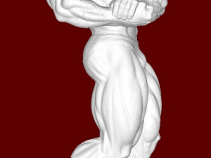 Bodybuilder Modelo de impresión 3D