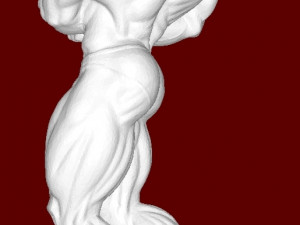 Bodybuilder 3D 打印模型