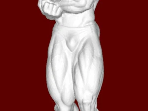 Culturista Modello di stampa 3D