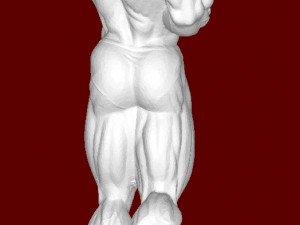 Bodybuilder 3D 打印模型