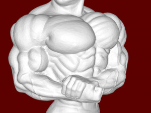 Bodybuilder 3D 打印模型