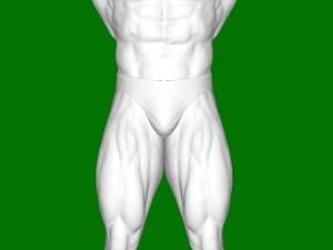 Arnold Schwarzenegger 3D Print Model