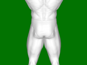 Arnold Schwarzenegger 3D प्रिंट मॉडल