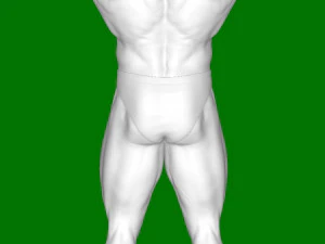Arnold Schwarzenegger 3D Print Model