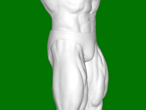Arnold Schwarzenegger 3D Print Model