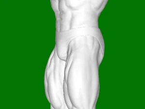 Arnold Schwarzenegger 3D Print Model