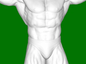 Arnold Schwarzenegger 3D Print Model