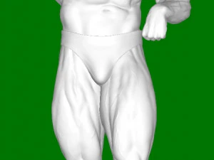 Arnold Schwarzenegger 3D Print Model