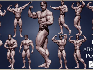 Arnold Schwarzenegger 3D Print Model
