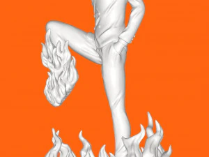 Sanji red 3D Print Model
