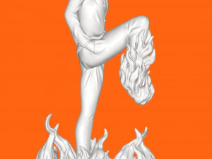 Sanji red 3D Print Model