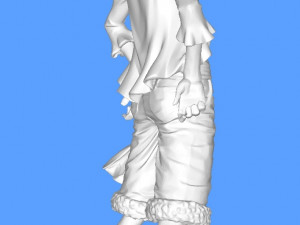 Monkeydluffy 3Dプリントモデル
