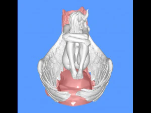 गिरी हुई परी 3D प्रिंट मॉडल