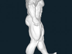 Cutler 3D Print Model