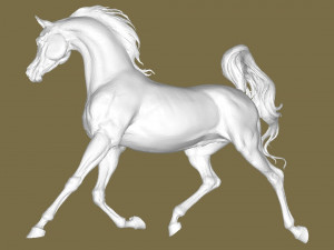 Arabian hors 3D Print Model