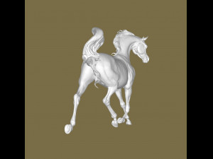 Arabian hors 3D Baskı Modeli