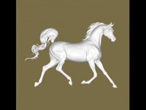 Arabian hors 3D Print Model