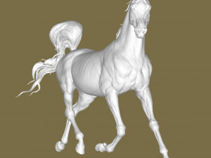 Arabian hors 3D Baskı Modeli