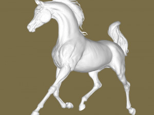 Arabian hors 3D Baskı Modeli