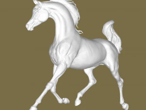 Arabian hors 3D Print Model