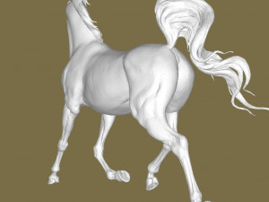 Arabian hors 3D Baskı Modeli