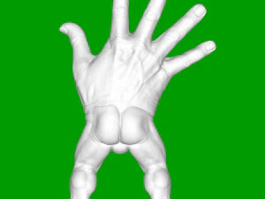 Human brush 3D Print Model