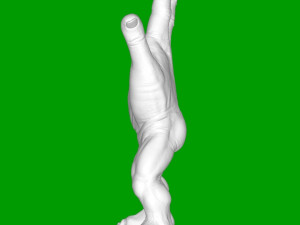 人毛刷 3D 打印模型