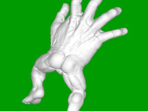 Human brush 3D Print Model