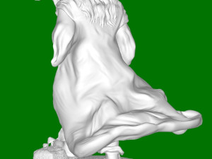 Radagast 3D 프린트 모델