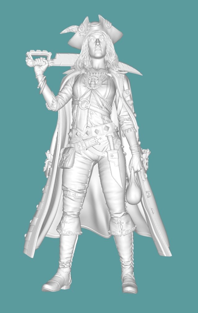 Pirate 3D-Druckmodell .c4d .max .obj .3ds .fbx .stl .blend 