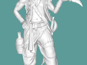 Pirate 3D Print Model