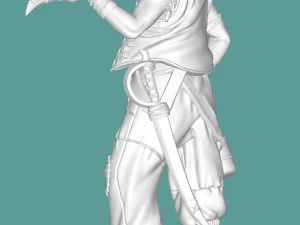 Pirate 3D Print Model
