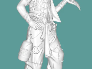 Pirate 3D Print Model