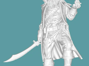Pirate 3D Print Model