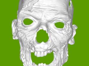 Zombie Mask 3Dプリントモデル