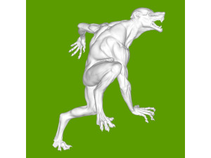 Lupin Werewolf Harry Potter 3D 打印模型
